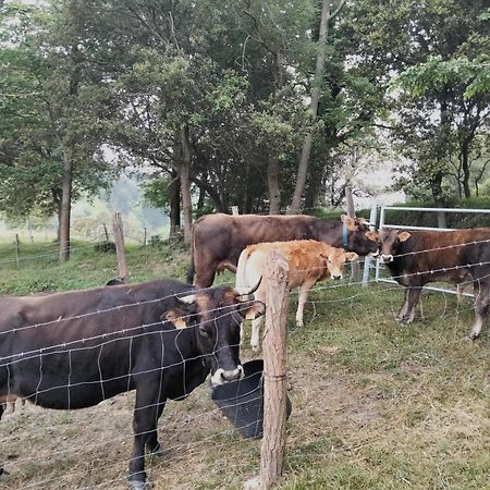 דבה Agroturismo Erlete Goikoa -Estamos En El Camino De Santiago -We Are On The Camino De Santiago מראה חיצוני תמונה