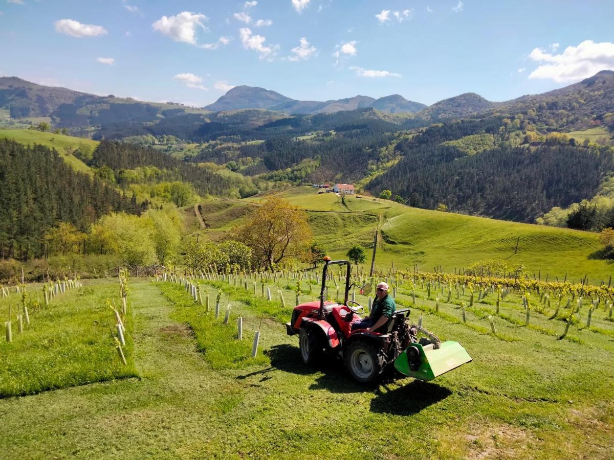 דבה Agroturismo Erlete Goikoa -Estamos En El Camino De Santiago -We Are On The Camino De Santiago מראה חיצוני תמונה