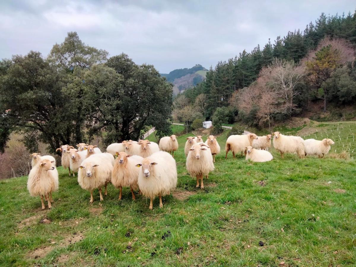 דבה Agroturismo Erlete Goikoa -Estamos En El Camino De Santiago -We Are On The Camino De Santiago מראה חיצוני תמונה