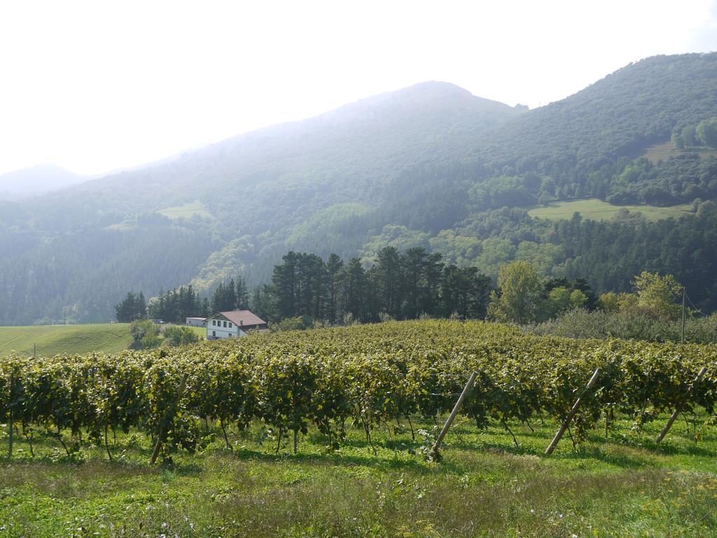 דבה Agroturismo Erlete Goikoa -Estamos En El Camino De Santiago -We Are On The Camino De Santiago מראה חיצוני תמונה