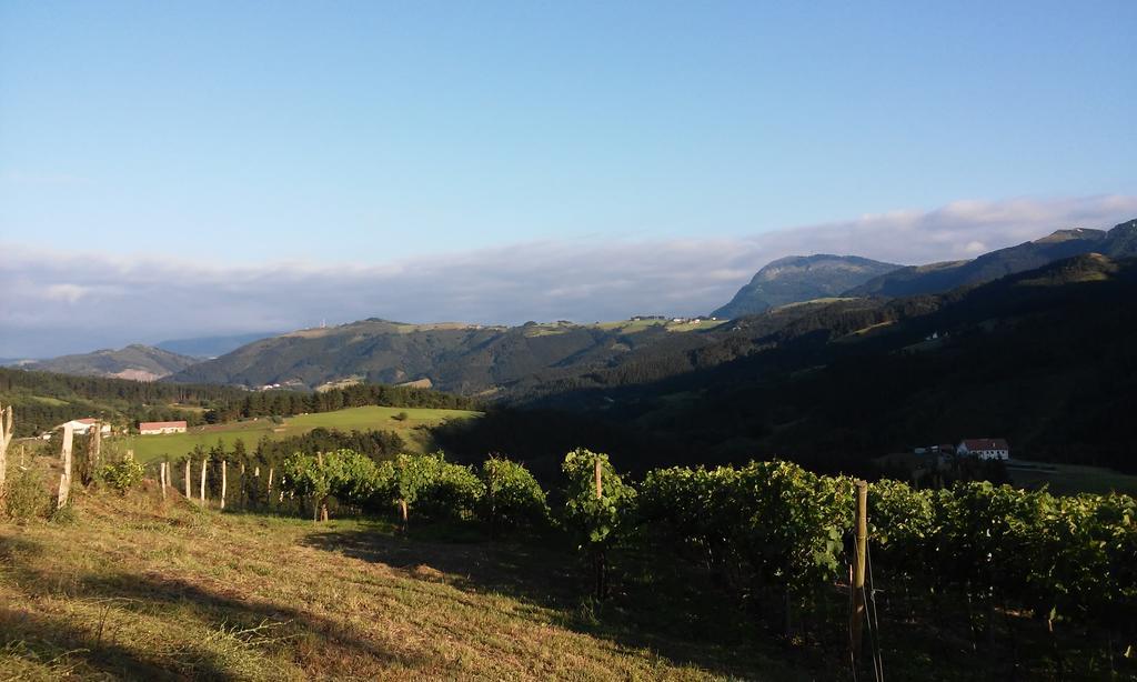 דבה Agroturismo Erlete Goikoa -Estamos En El Camino De Santiago -We Are On The Camino De Santiago מראה חיצוני תמונה