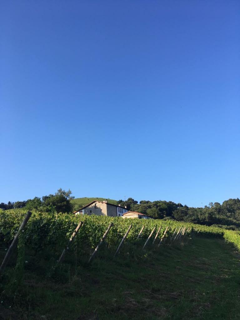 דבה Agroturismo Erlete Goikoa -Estamos En El Camino De Santiago -We Are On The Camino De Santiago מראה חיצוני תמונה