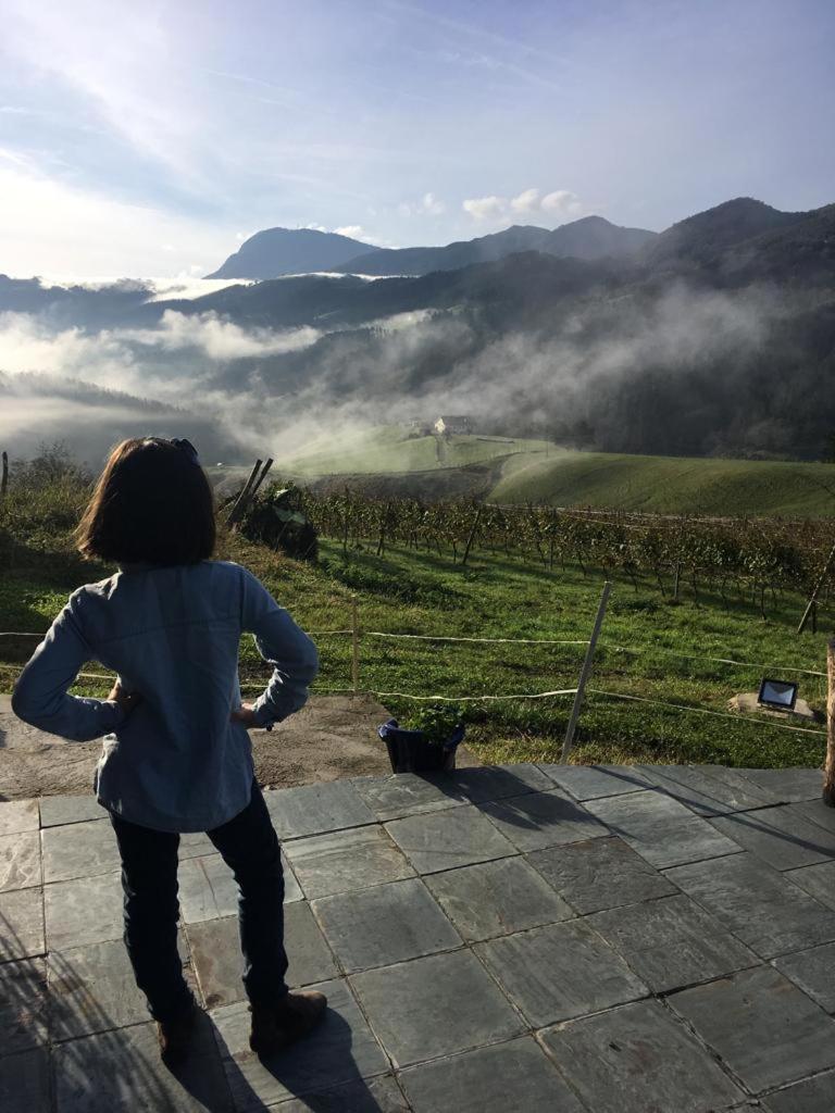 דבה Agroturismo Erlete Goikoa -Estamos En El Camino De Santiago -We Are On The Camino De Santiago מראה חיצוני תמונה